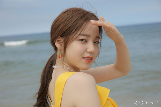 비쥬얼오션 이미지