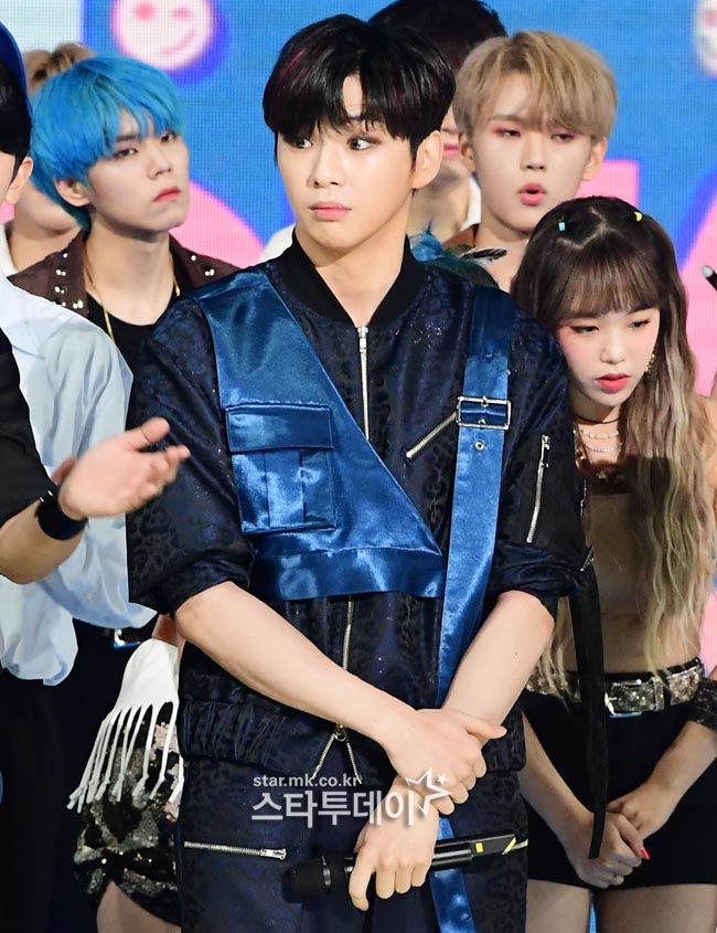 마젠타 이미지