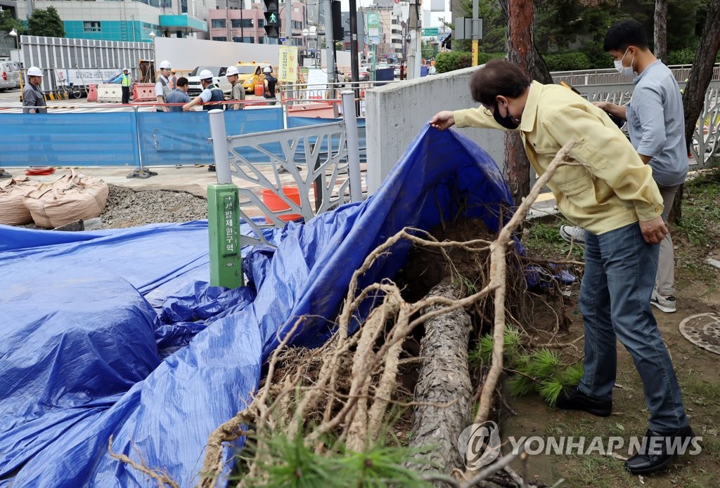 서울선사초등학교 이미지