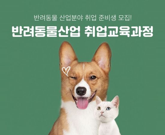 한국반려동물교육원 이미지