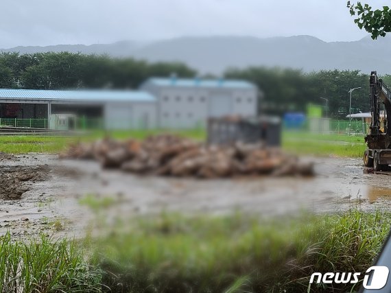 돼지와오리마을 이미지