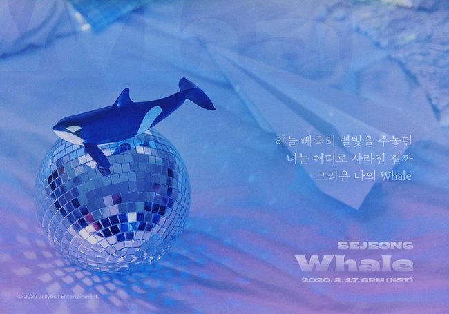 Sejeong released the LyricFind Teaser Image of the digital single Whale.Jellyfish has stimulated curiosity about the new song by posting a Teaser Image containing some lyrics of Sejeongs digital single Whale, which will be released on August 17 through the official SNS channel.The released Teaser Image shows a whale lying on a mirror ball with new song lyrics.The shadows that are reflected and spread out on the mirror ball like the light that cuts through the water create a mysterious and mysterious feeling.Here, the lyrics My Whale, which is missing where you have been embroidered with the stars in the sky, add to the curiosity of the whole lyrics as well as stimulating the faint emotions.In particular, Sejeong, who showed his own sensibility by filling the songs of his first mini album Powder with his own songs, will also participate in direct writing and composition to show his growth as a next-generation singer-songwriter.