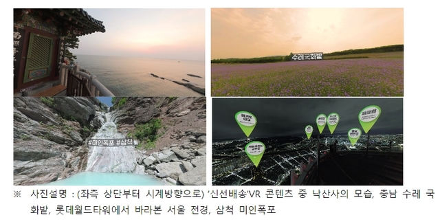 독도텔레콤 이미지