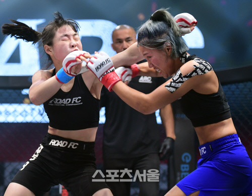 With the steep journey, including the first tournament in May and the 002 tournament in July, the ARC is playing a role as a dagger for the fighting fans in the situation where many sports are stagnated with Corona 19.The main event is a contract weight match between Cinnamon bear Park Jeong-gyo (41 and Park Jeong-gyo Cinnamon bear camp) and Korean Maui Oh Il Hak (18 and Tim Strongwolf).The Comain event is a confrontation between Bae Dong-hyun (35, Tim Finish), a former soccer player who fascinated martial arts fans at the 001 tournament, and Ryu Ki-hoon (25, Ostazim), a hitter.The confrontations between Park Chan-soo (24, Savi MMA), Kim Dong-hyuns disciple Park Si-won (18, Tim Sterngun), Jeju Island Youth Yang Ji-yong (24, Jeju Island Team dubbing) and Guiyomi The Fighter Yang Ji-ho (23, and Lordejim Rodeo) are also going to be played.Especially, Park Chan-soo and Park Ji-won are more exciting because the teams honor is at stake.Recently, the ARC announced the remaining four matches and confirmed the confrontation.Kim Yong-geun (31 and Tim Finish), Park Jae-sung (25 and Wonju Lordejim), Shin Yoo-jin (16 and Songtan MMA), Kim Yoo-jung (22 and Tim Genius), Ginoju (35 and FREE), Jung Seung-ho (19 and Choi Jung-gyu MMA), Kim Yoo-jung (19 and Tim Fash) and Min Shin-hee (29 and Ostazim) i.Among the additional matches, Kyonggi is a confrontation between Shin Yoo-jin and Kim Yoo-jung.Shin Yoo-jin debuted as the youngest player in ROAD FC, and is currently winning two games.He showed improved batting ability in ARC 002 last month and beat Park Ji-soo to TKO in 2 minutes and 20 seconds in the first round.This is his debut match, with opponent Kim Yoo-jung, who has won four games and two losses in the ROAD FC Central League based on ground technology compliant with a Jujitsu base.The Fighters are talented new women, attracting the attention of experts as well as fans.