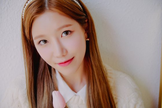 다원 이미지