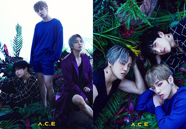 Boy group A.C.E (Ace) released its first unit concept photo.On the 19th, Ace released the first unit concept photo of the new album Ho Ji-mong through official SNS.Kim Byounggwan, Dong-hoon, and Wau each created a mysterious atmosphere with styling, pose, and intense eyes that capture the eyes of a refreshing and dreamy feeling in the background of the forest.In particular, fans are curious about the connection between butterfly tattoos on members necks and the new song Favorite Boys.In addition to personal concept photos, two versions of the group concept photo attract attention, with the aura of three members who emit fascinating eyes in the colorful forests leaving a strong impression.Aces fourth mini album, HJZM (The Butterfly Phantasy), is an album that shows a message to find the original Ace, which has created unique colors through UNDERCOVER and Twirl Line last year.Whether the Ace, which has taken out the weapon called Oriental Fantasy, will once again capture the hearts of the public is gathering expectations.On the other hand, Ace will come back on September 2 with his fourth mini album, Ho Ji Mong ().Photo: Bit Interactive