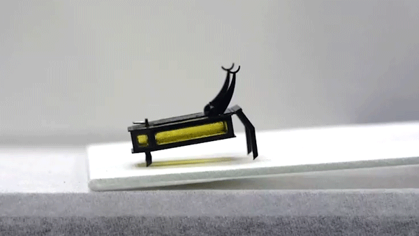 딱정벌레 로봇 로비틀은 연료를 한 번 채우면 2시간 동안 작동된다.