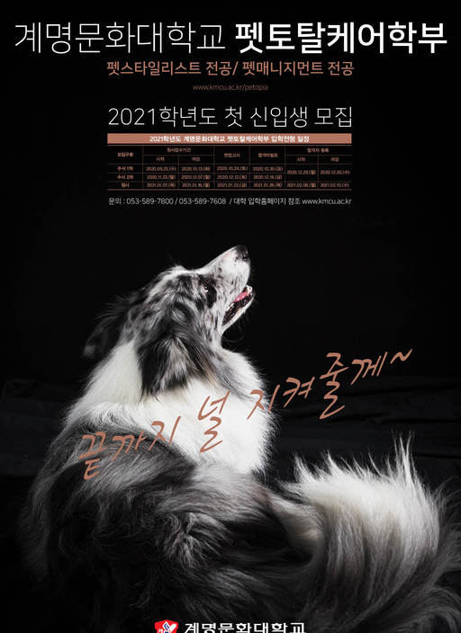 토탈케어 이미지