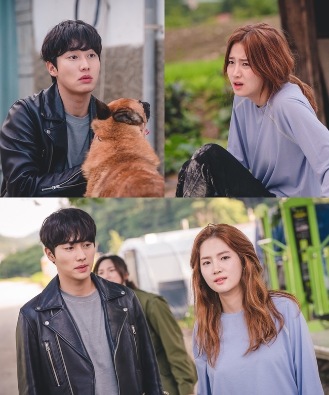 Park Joo-hyun and Kwon Hwa-woon have a triangle relationship between Zombie 2: The Dead are Among Us Choi Jin-hyuk.KBS 2TV New Moonwha entertainment drama Zombie 2: The Dead are Among UsMonk (playplayplay by Baek Eun-jin/director Shim Jae-hyun) is a human comedy drama in which Zombie 2: The Dead are Among Us becomes Monk and struggles to find their past.In addition to the exciting story of thrillers and comics, it was also predicted to be an unusual romance wherever it might go.Park Joo-hyun plays the public paper, a writer of the current affairs accusation program, who chases the scene of the incident day and night and shows a passion to ignore the Warraval.Kwon Hwa-woon was the elite detective of the play, and played the role of Cha Do-hyun, the owner of Sun-Ae-bo, who has been in love for a long time against the public figure with a powerful appearance like a woman.In addition to the professional aspect based on his warm appearance and excellent athletic ability, he will shake his emotions with the charm of his affectionate Nam Sa-chin, who keeps silently behind the public.Gong Seon-ji and Cha Do-hyun (Kwon Hwa-woon) will show a sweet salvage chemistry that keeps each others side for a long time and secretly moves between friends and romance.The question Zombie 2: The Dead are Among Us Kim Moo-young (Choi Jin-hyuk) appeared between the two, and spent all day together as a direct boss of the public service and stimulated Chas jealousy.Cha Do-hyun, who was perfect and cool, will start to show a childish appearance in an uneasy and nervous mind and will show the realistic favorite man.minjee Lee