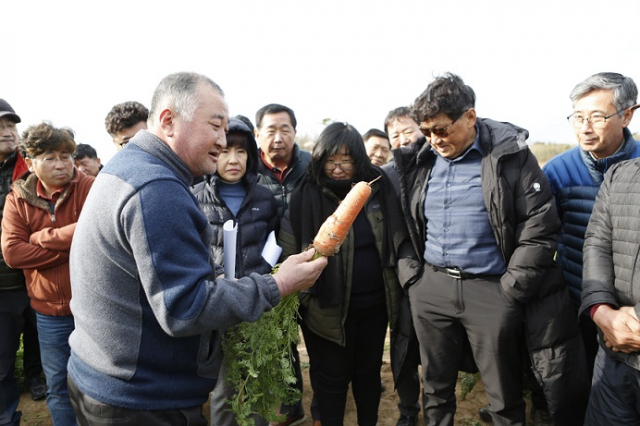 탐라개발 이미지