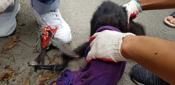 변호사김동훈법률사무소 이미지
