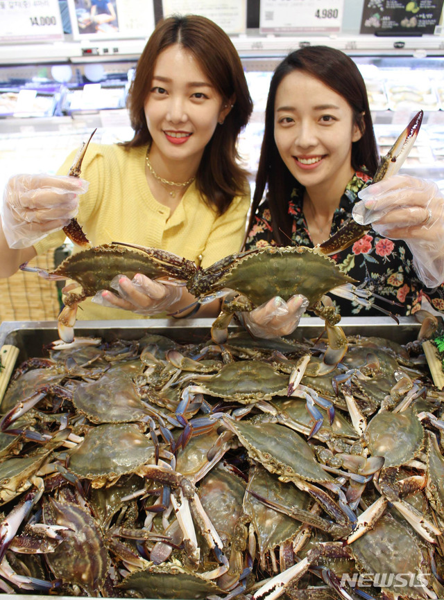 서해안마트 이미지