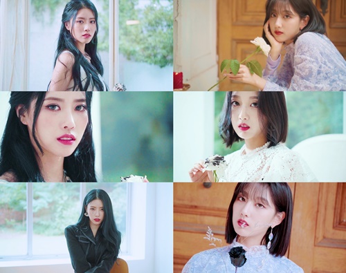예인 이미지