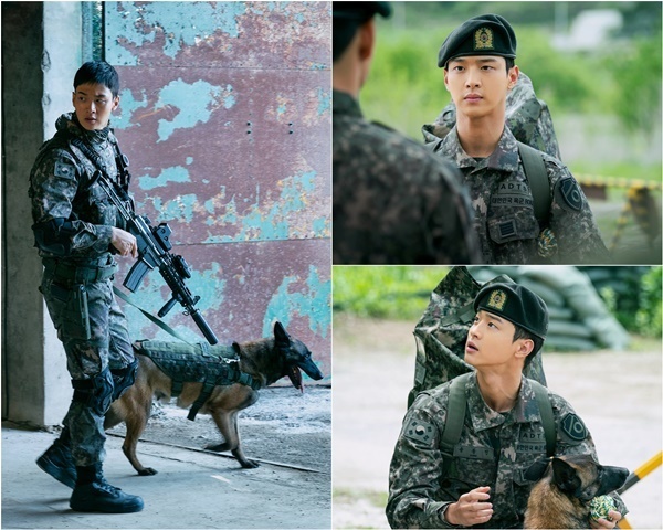 Actor Jang Dong-yoon took off his boyhood and armed himself with masculine beauty.The first DMZ military thriller in Korea, Drama OCN Dramatic Cinema The Search (played by Gumo Go Myung-ju/director Lim Myung-woong Myung Hyun-woo), unveiled the first still cut of Jang Dong-yoon on August 25.The visuals of the masculine beauty of the Korean people are attracting attention.The Search is a military thriller drama about the story of the elite search party, which was formed to reveal the secrets of the mysterious disappearance and murder that began in the frontline Demilitarized Zone (DMZ).Jang Dong-yoon, Jung Soo-jung, Moon Jung-hee, Yoon Park, and Lee Hyun-wook finished their preparations for the lineup.Jang Dong-yoon was a late-life Sergeant, a military dog, and Yong Dong-jin, who was careful about falling leaves.While waiting for the date of the entire area, the unexpected incident in the DMZ joins the search party as a handler of the scouting dog.I tried to do the search operation that may be the last mission as unstable as possible, but once I wonder about the questionable incident, the blood that I can not tolerate begins to boil.What is the reality of the mystery that will take place in the DMZ, which remains unknown land for 70 years after the division?Yong Dong-jin is expected to play a big role in demonstrating his base at a decisive moment with his instinctive reaction.For Jang Dong-yoon of The Search, there is no more boy of a steady and right mother.Instead, he will be filled with the virtues of a responsible soldier, and will be filled with tough, charismatic masculinity.The slick ease and humor unique to Sergeant in his later years is a bonus.He said that he had no sense of heterogeneity about the Military uniform because he had already completed his military service.As proof of these characters, he showed a more dignified figure in the still cut that was released with a theft posture.In a military uniform wearing a beret, a manly charisma comes out intensely in a serious expression.In fact, Jang Dong-yoon has proved his brave courage to beat the robber in reality. I am already looking forward to his solid military spirit to be shown in The Search.
