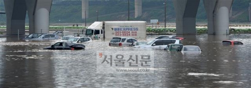 비바비차 이미지