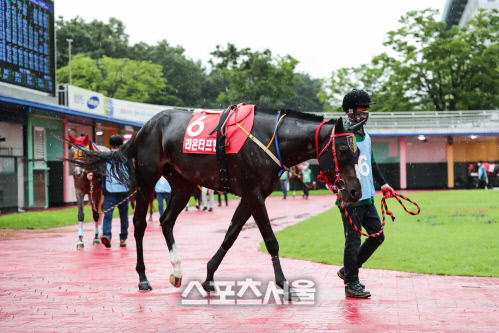 라온축산 이미지