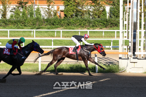 마주 이미지