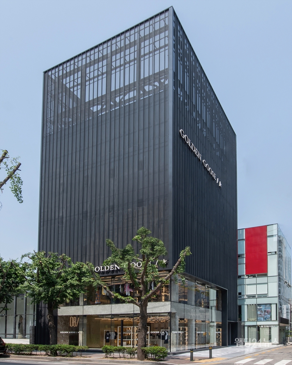 구스 이미지