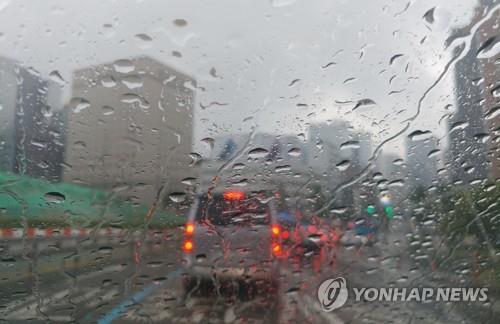 소나기 이미지