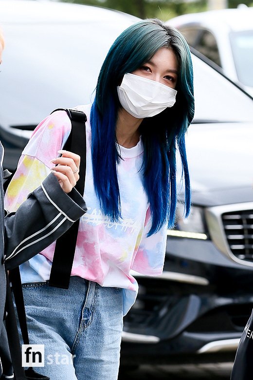 (주) 다미 이미지