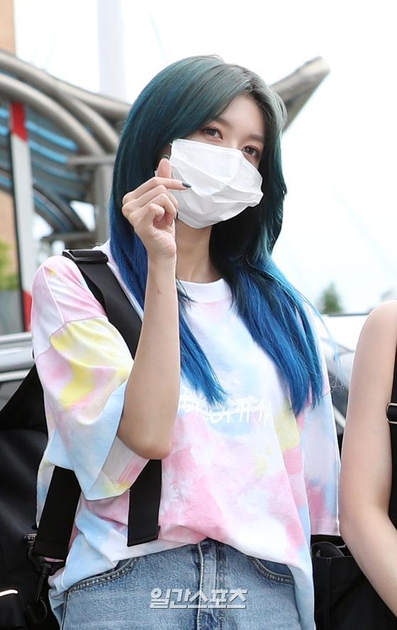 다미 이미지
