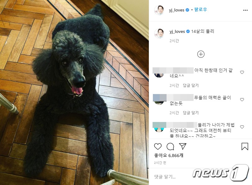 정s샵 이미지