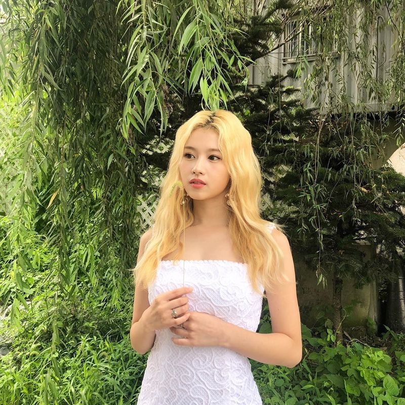 TWICE Sana, Summers Beautiful Beautiful Looks Blonde +White One Piece Group TWICE Sana certified the constant Beautiful Looks.Sana posted the post on HER official Instagram on September 1 stating, One year ago today.In the photo, Sana is wearing a white One Piece with long blond hair and fidgeting the dogs pool. Sanas smiling smile for the camera made fans feel like she was shimkung on a refreshing summers day.Those who saw it expressed their reactions, such as The sana beautiful looks are always the same.Meanwhile, Sanas member TWICE held a solo on-tact concert Beyond LIVE - TWICE: World in A Day on August 9 .