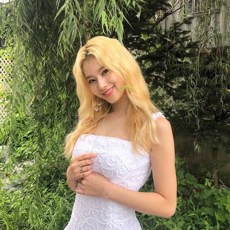 TWICE Sana, Summers Beautiful Beautiful Looks Blonde +White One Piece Group TWICE Sana certified the constant Beautiful Looks.Sana posted the post on HER official Instagram on September 1 stating, One year ago today.In the photo, Sana is wearing a white One Piece with long blond hair and fidgeting the dogs pool. Sanas smiling smile for the camera made fans feel like she was shimkung on a refreshing summers day.Those who saw it expressed their reactions, such as The sana beautiful looks are always the same.Meanwhile, Sanas member TWICE held a solo on-tact concert Beyond LIVE - TWICE: World in A Day on August 9 .