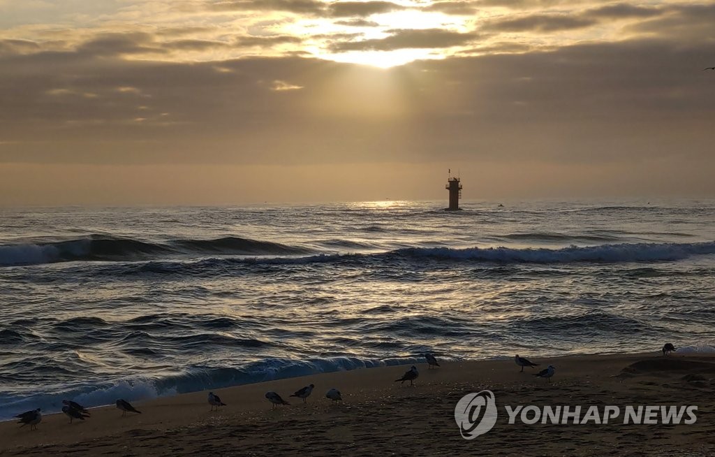 경포9호 이미지