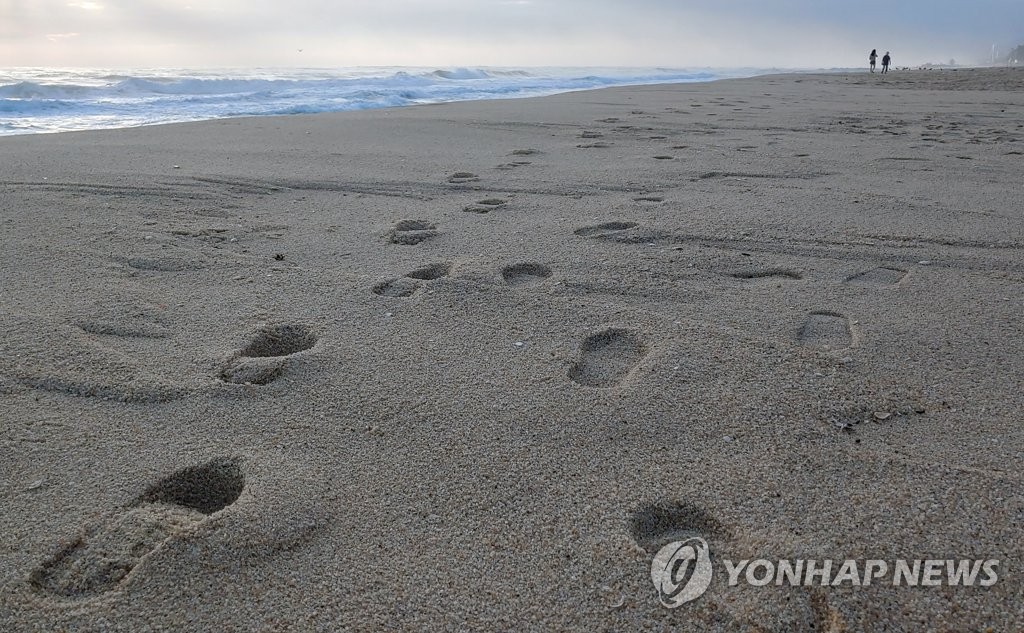 경포9호 이미지
