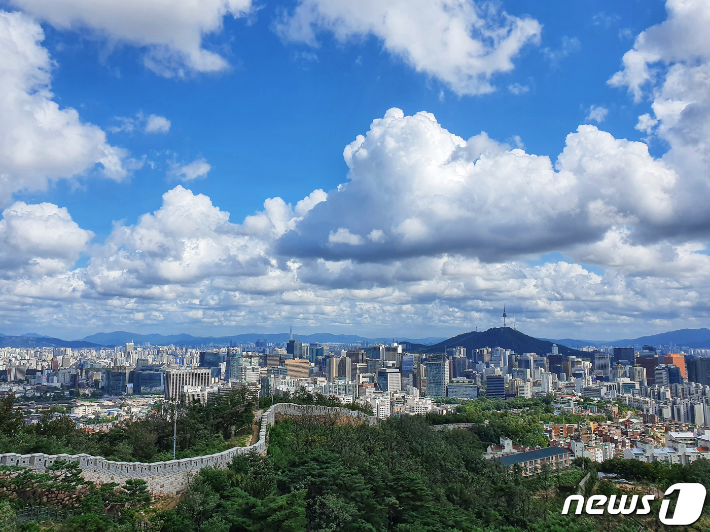 푸른하늘 이미지