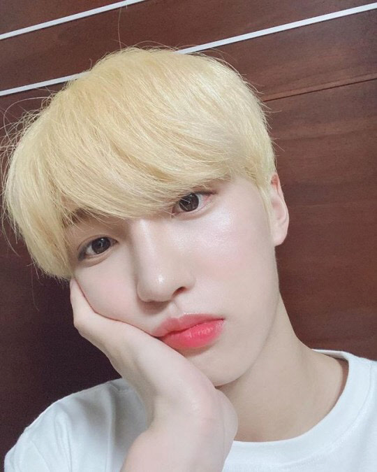 선율 이미지