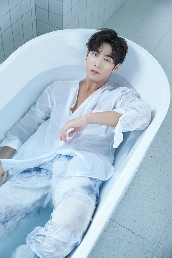 백호 이미지