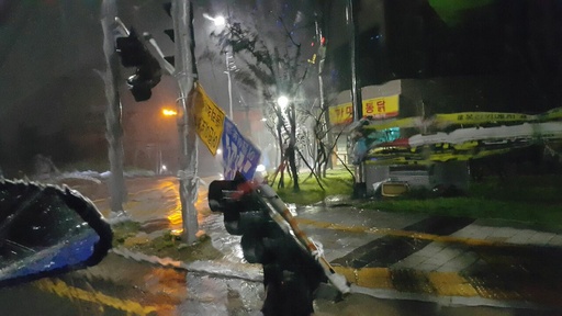 만조 사진 3