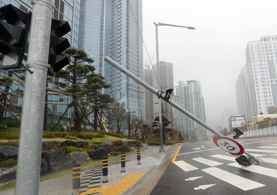 만조 사진 7