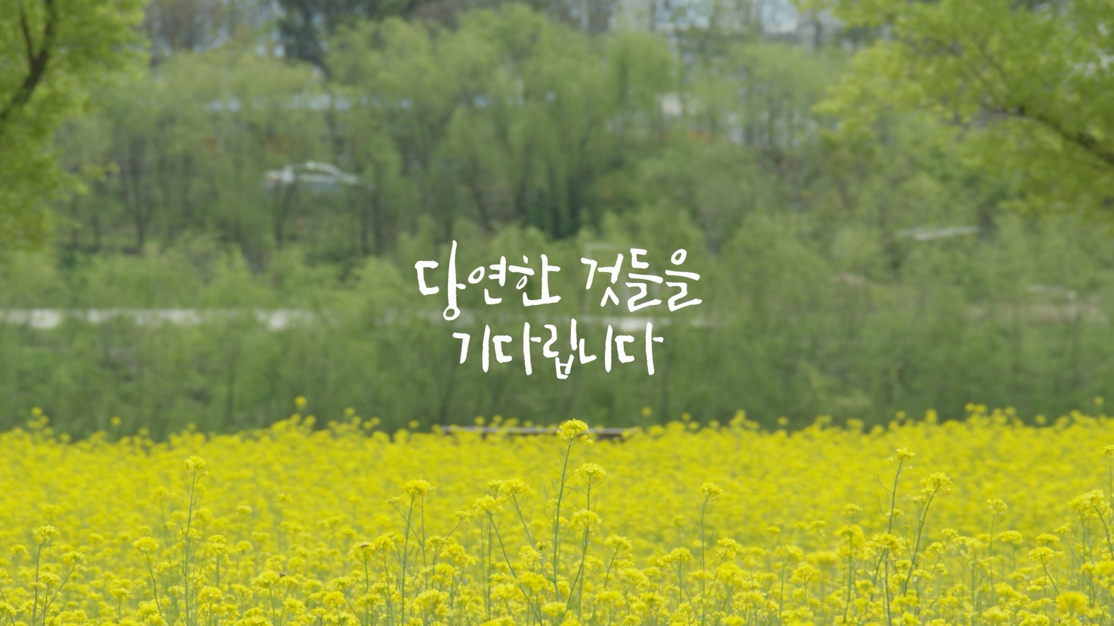 당연이 이미지