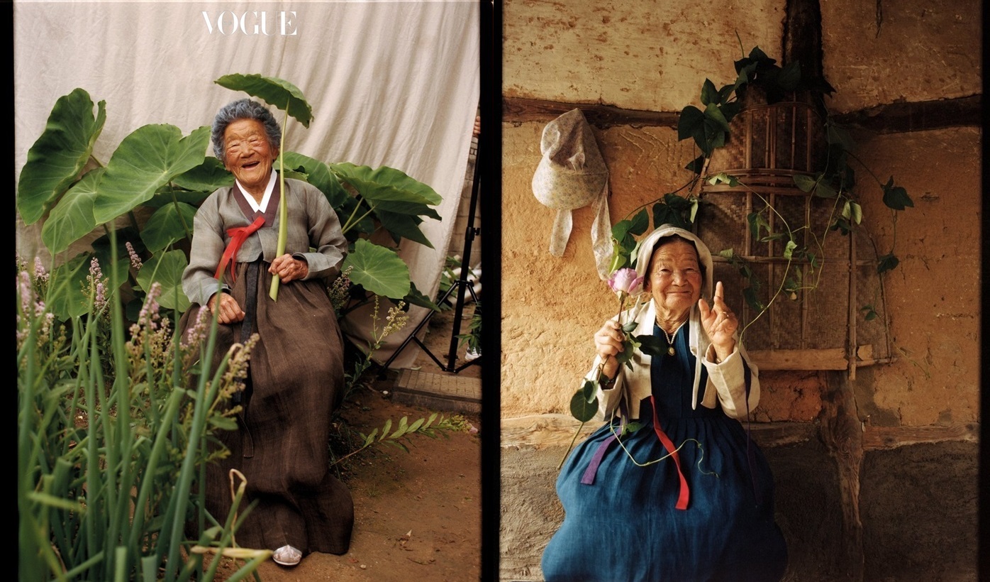 보그 이미지