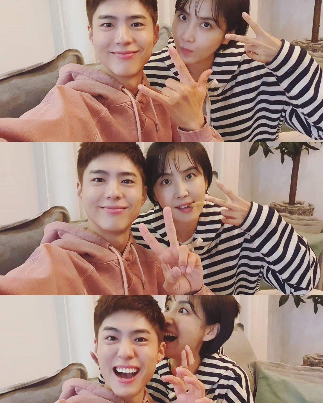 Actor Shin Dong-mi has released a two-shot with Park Bo-gum to commemorate the rise of Record of Youth TV viewer ratings.Shin Dong-mi on his instagram on the 9th, Thank you, TV viewer ratings all the way!!!! So...!!!!!!!!!!!!!!!!!!!!!!!!!!!!!!!!!!!!!!!!!!!!!!!!!!!!!!!!!!!!!!!!!!!!!!!!!!# Record of Youth # Milan accommodation # Sa Hye Jun # big hit and posted a picture.Shin Dong-mi and Park Bo-gum in the photo radiated a chemi like a brother and sister.Sitting side by side, the two posed with a playful look and exuded a delightful charm.In Record of Youth, Shin Dong-mi is in the midst of playing Lee Min-jae, a novice manager who burns his passion to make Park Bo-gum (played by Sa Hye-joon), an actors dream, a star.