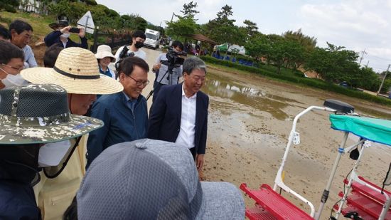 일로 이미지