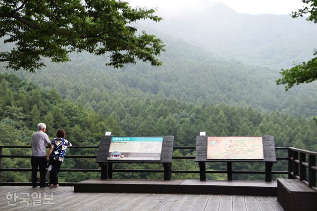 죽령 이미지