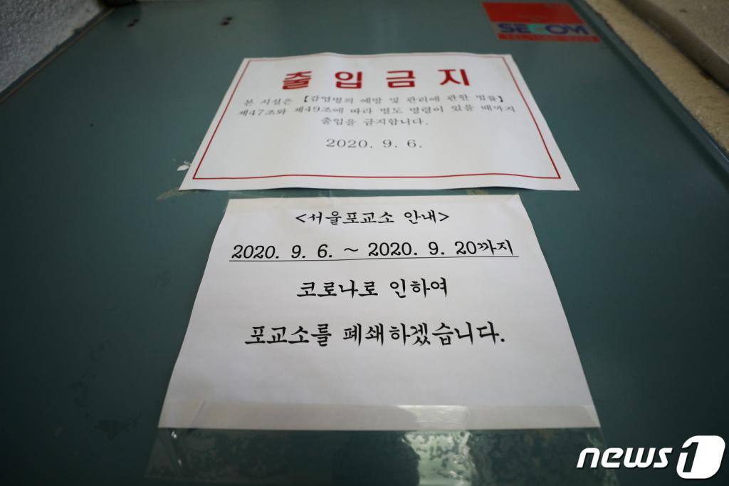 서울46 이미지