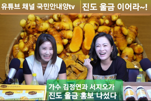 진도울금 이미지