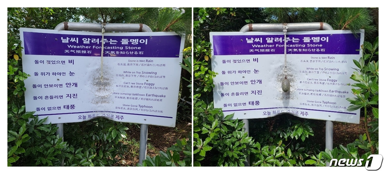 테마인제주 이미지