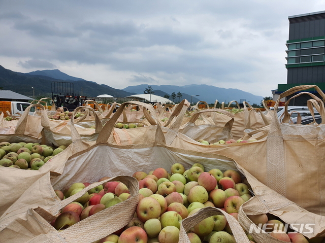 예산농산물유통센터-예산능금농업협동조합 이미지