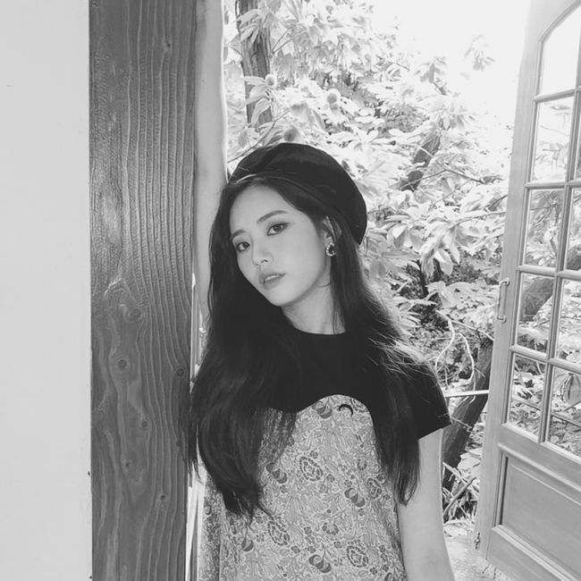 Groups Fromis 9 Park Ji-won, Lee Chae-young and Baek Ji-heon finished their comeback pre-heat with Goddess beauty.Park Ji-won posted two black and white photos in succession on his 14th day with an article entitled I thought my arm was a wall for a moment.Park Ji-won is seen wearing a colorful patterned bustier dress and giving points to berets.At this time, Park Ji-won boasted a unique cat-like beauty and attracted fans enthusiastic reaction.Lee Chae-young also announced his current status through his Instagram on the same day, when Lee Chae-young released five photos with a hashtag called #Stop.In the photo, Lee Chae-young stares at the camera, wrapping his face in the back of the vehicle, when Lee Chae-young creates an alluring atmosphere with a full red lip.The colorful features also catch the eye.Baek Ji-heon also shared three photos on his instagram, posting a photo with lemon emoticons.The photo shows Baek Ji-heon, who is holding a lemon and making a fresh look.At this time, Baek Ji-heon is a hippie firm style that attracts attention with his youngest lovely charm.On the other hand, Fromis 9 will release its third mini album My Little Society on the 16th and will return to the music industry in a year and three months.SNS