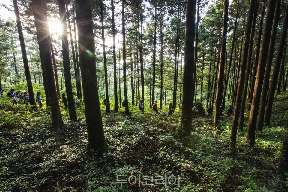 고도 이미지