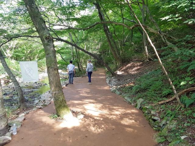 황토 이미지