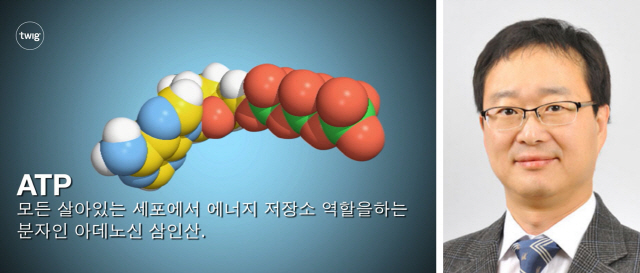 에너지원 이미지