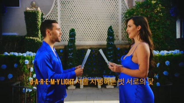 에밀리의슈가 이미지