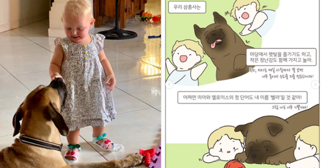 벨라인터네셔널 이미지